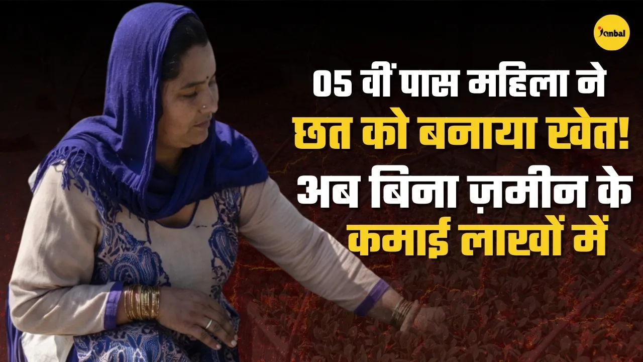 Sunita Devi terrace farming in Himachal Pradesh